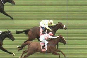 Christophe Lemaire (top) riding Dunaden beats Michael Rodd riding Red Cadeaux to win the Melbourne Cup at Flemington racecourse in Melbourne