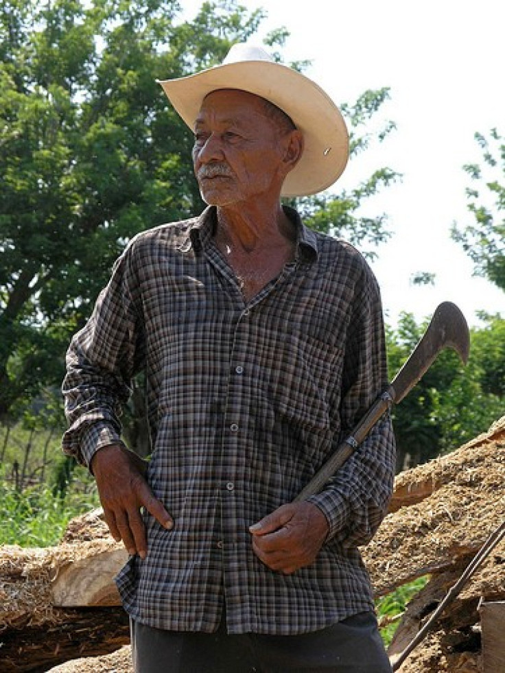 A peasant in Colon. Honduras
