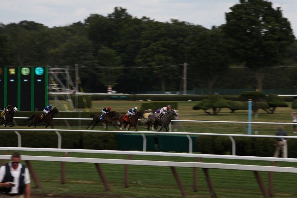 A horse runs on the Saratoga Race Course during opening weekend.