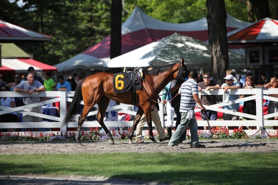 A horse runs on the track during opening weekend at the Saratoga Race Course.