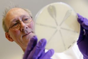 David Livermore from the Antibiotic Resistance Monitoring & Reference Laboratory holds a plate coated with antibiotic-resistant bacteria.