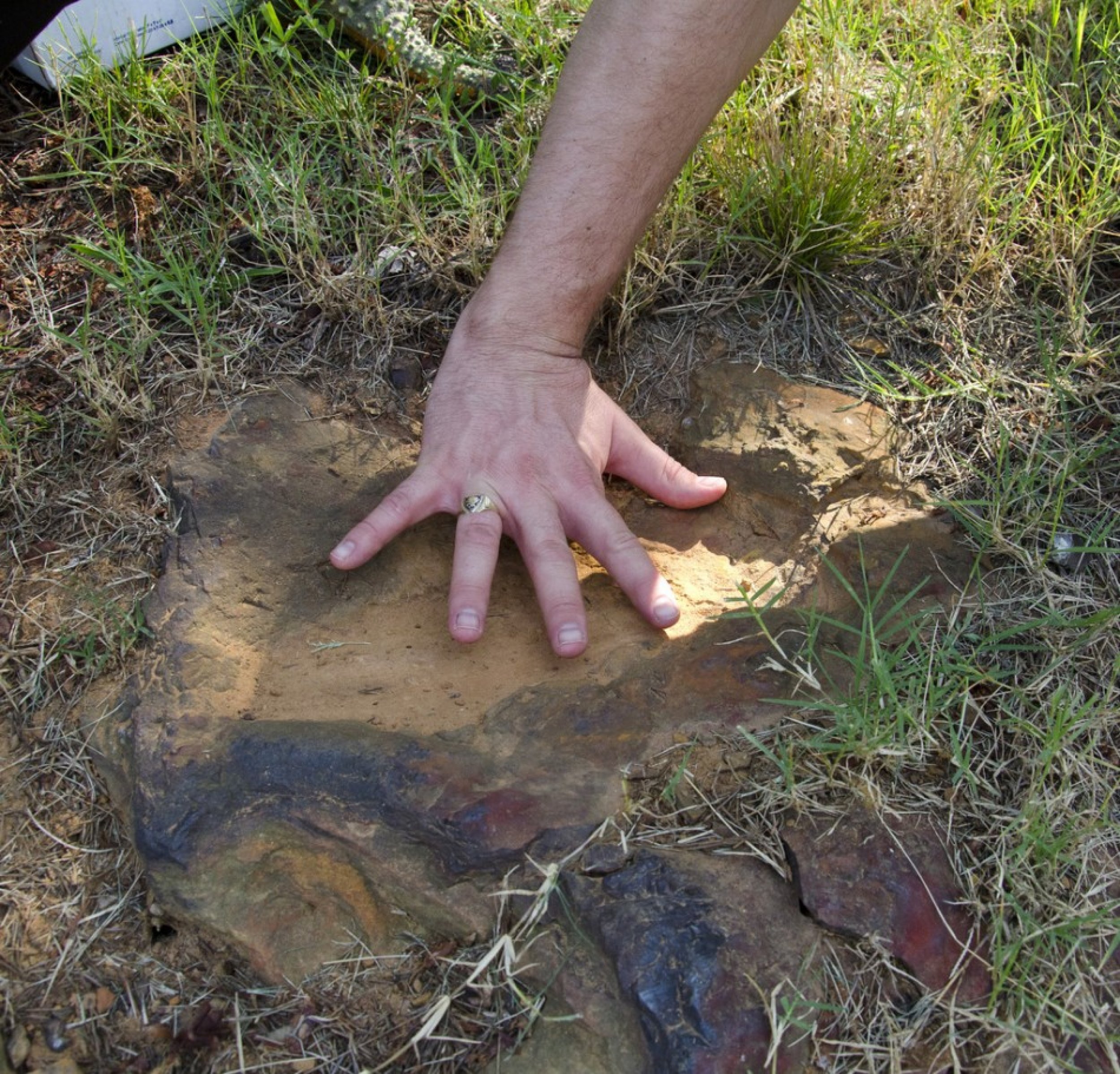 Dinosaur Footprint Found At NASAs Goddard Campus In Greenbelt