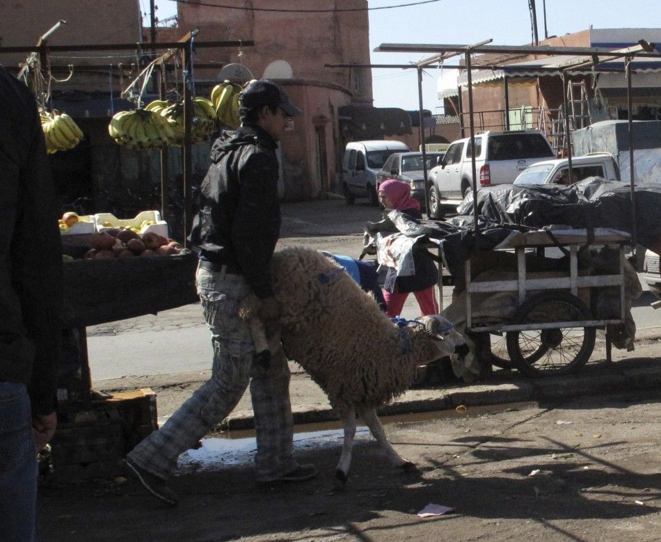 A Moroccan buys a sheep in preparation of Eid al-Adha in Marrakech November 6, 2011.