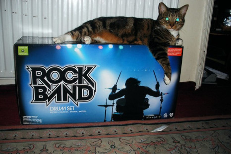 cat rockband