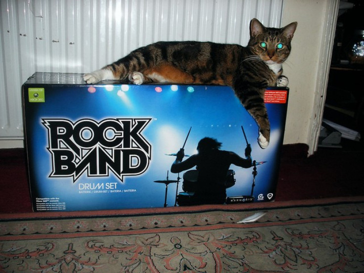 cat rockband