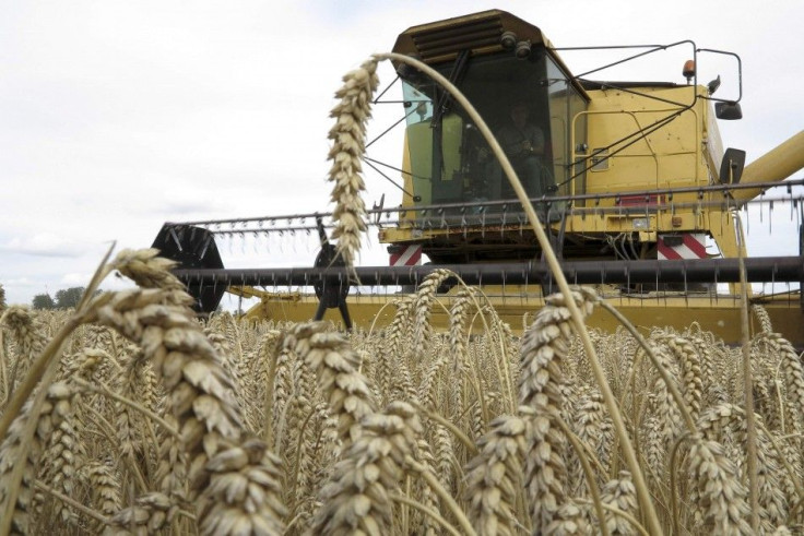 French wheat combine