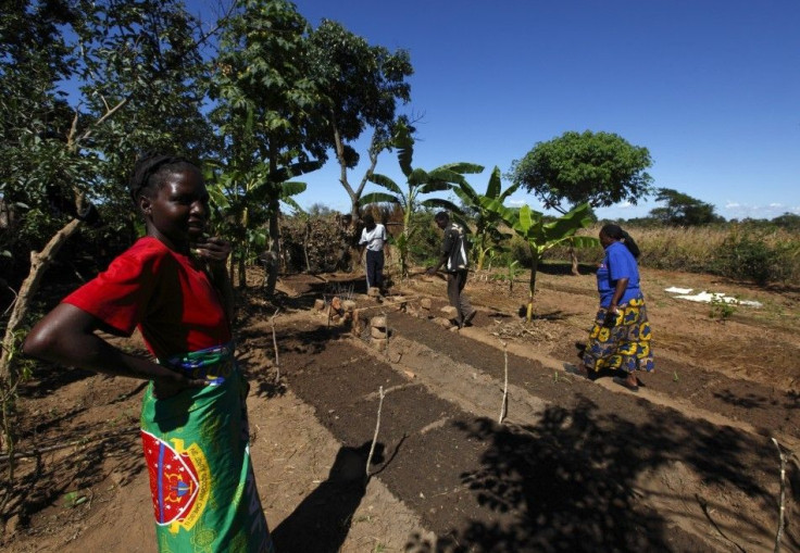 Female Farmers