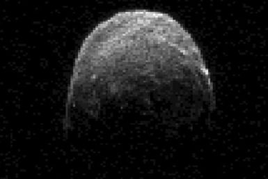 Asteroid 2005 YU55