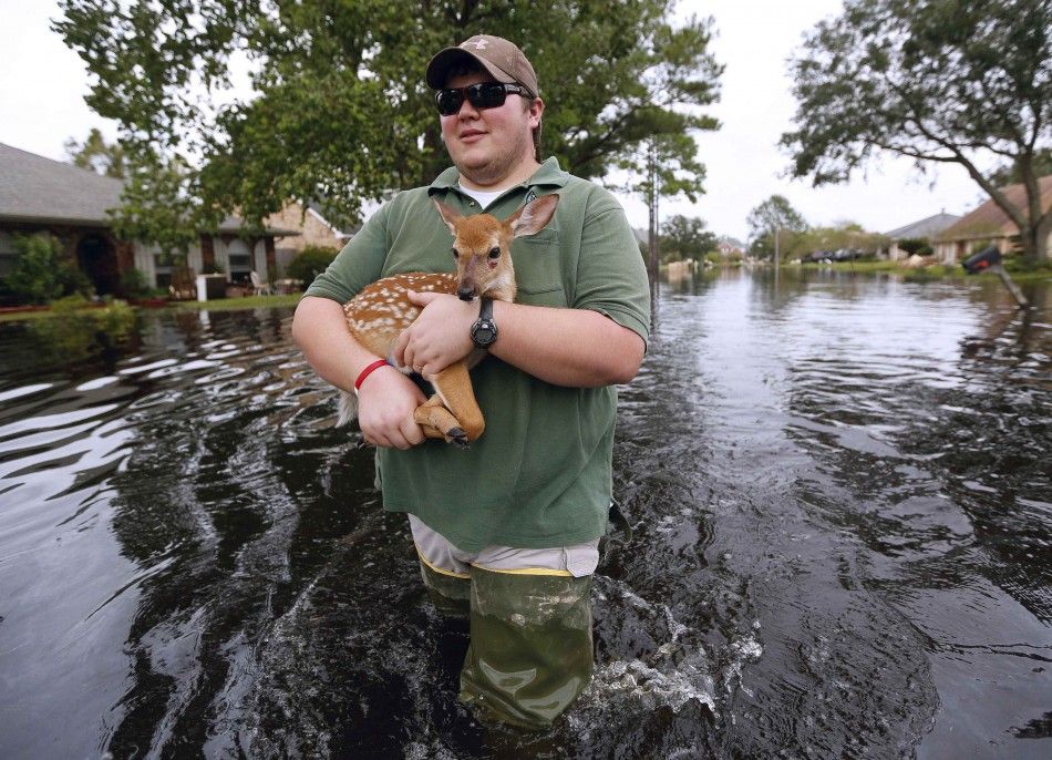 Hurricane Isaac