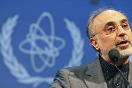 The Chief of Iran's Atomic Energy Organization, Salehi, Delivers a Seech at the 54th IAEA General Conference in Vienna.