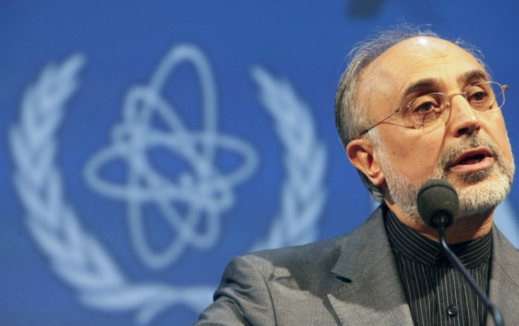 The Chief of Iran's Atomic Energy Organization, Salehi, Delivers a Seech at the 54th IAEA General Conference in Vienna.