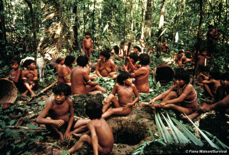 Yanomami