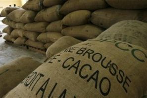 Cocoa bags are seen in a warehouse in Gonate, western Ivory Coast, 