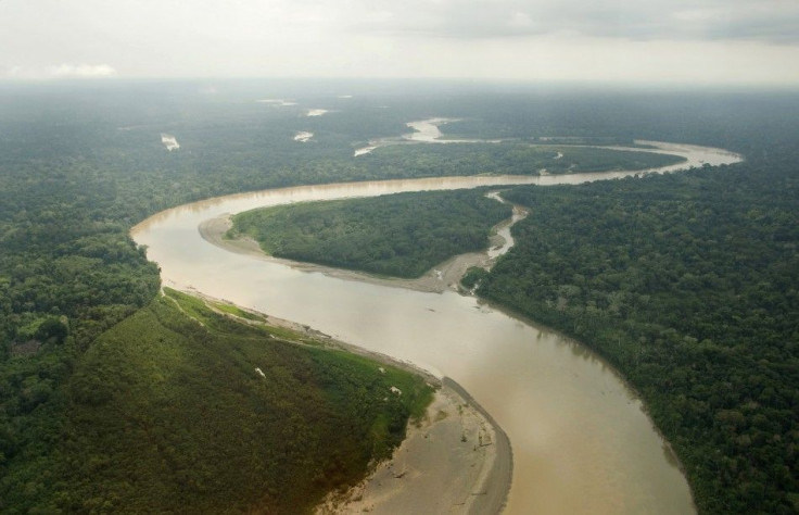 Amazon Rainforest, South America