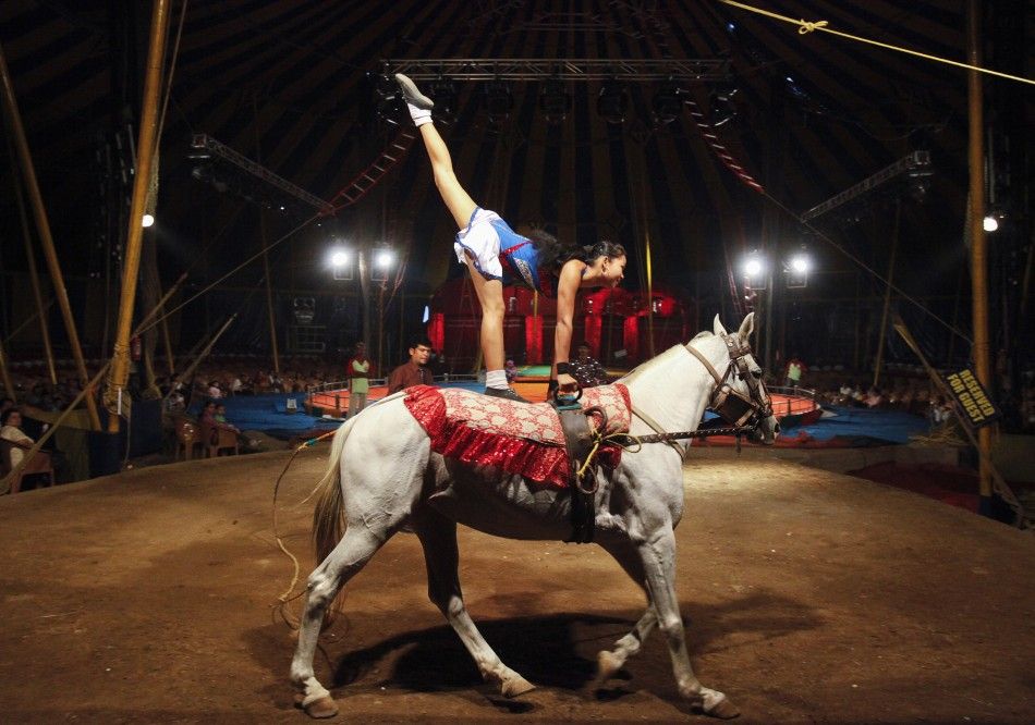 Rambo Circus