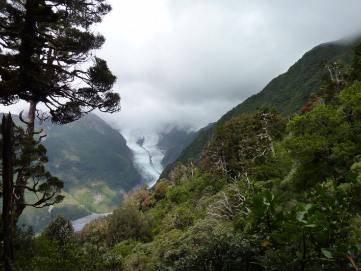 Franz Josef Glacier, New Zealand