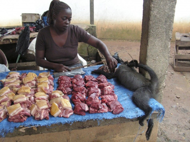 Bushmeat