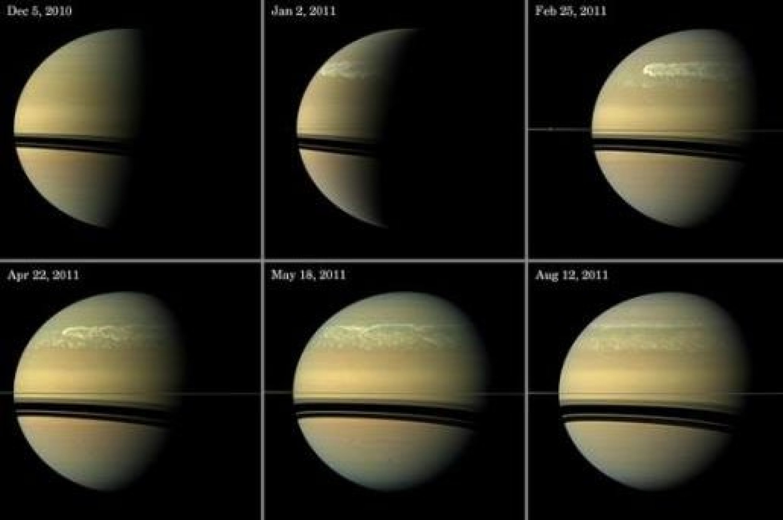 Development of the giant storm seen on the planet since 1990