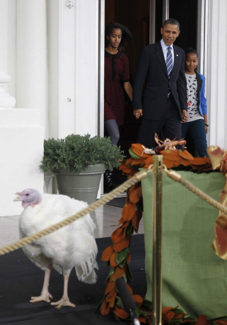 Obama Pardons Thanksgiving turkeys