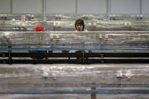 Workers of Hana Microelectonics Pcl clean a hall after water receded from parts of the factory in Ayutthaya province