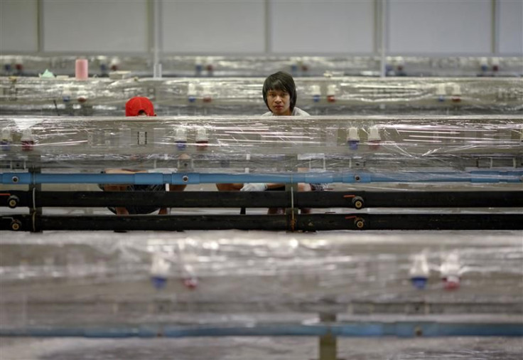 Workers of Hana Microelectonics Pcl clean a hall after water receded from parts of the factory in Ayutthaya province