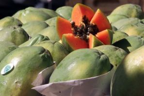 The Brazilian exotic fruit papaya,
