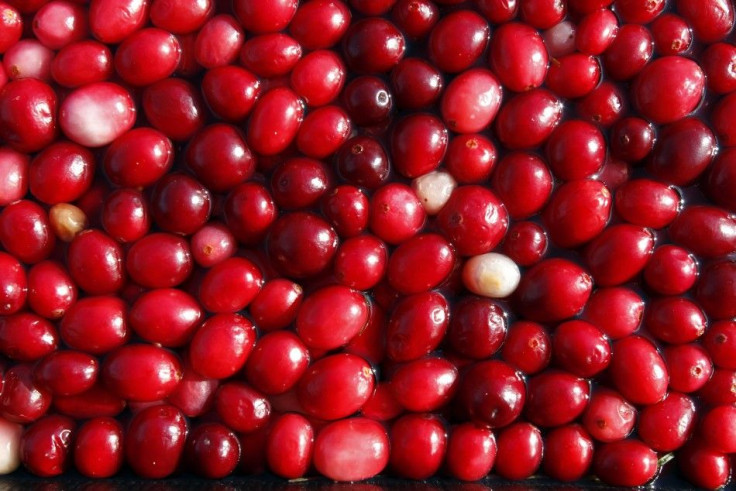 Roughly 13 million cranberries fill a 4,273 square meter,