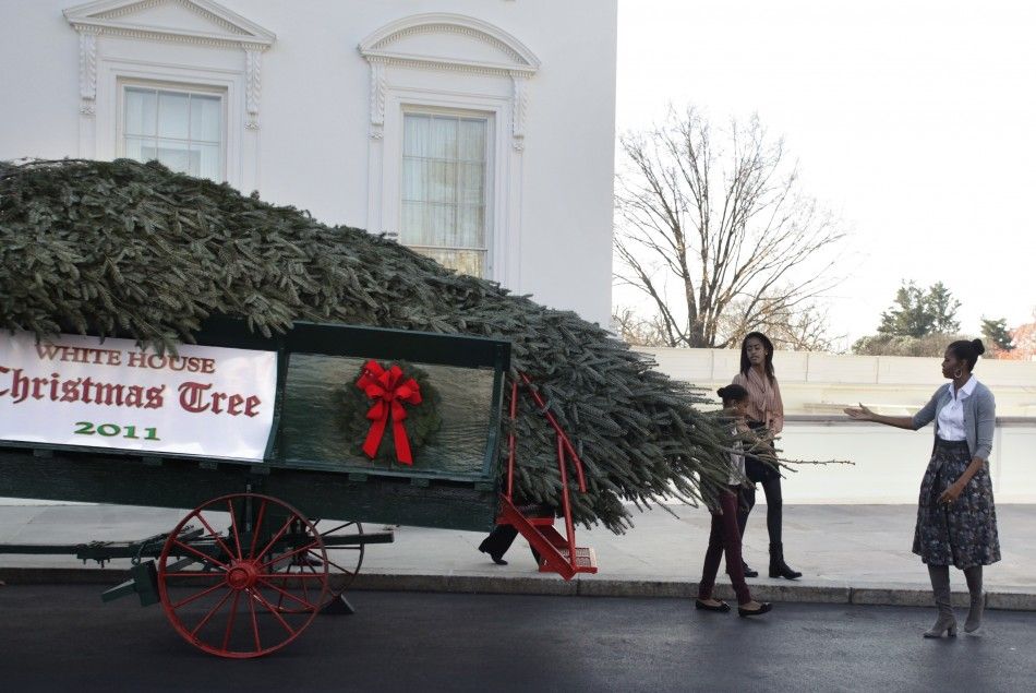 White House Christmas tree arrives