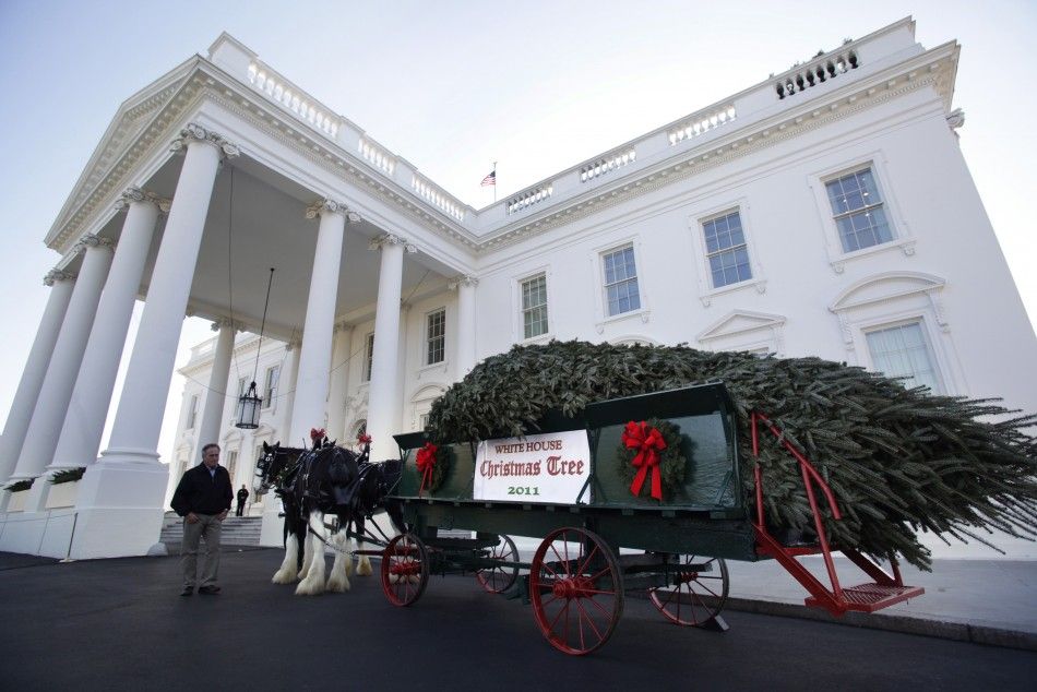 White House Christmas tree arrives