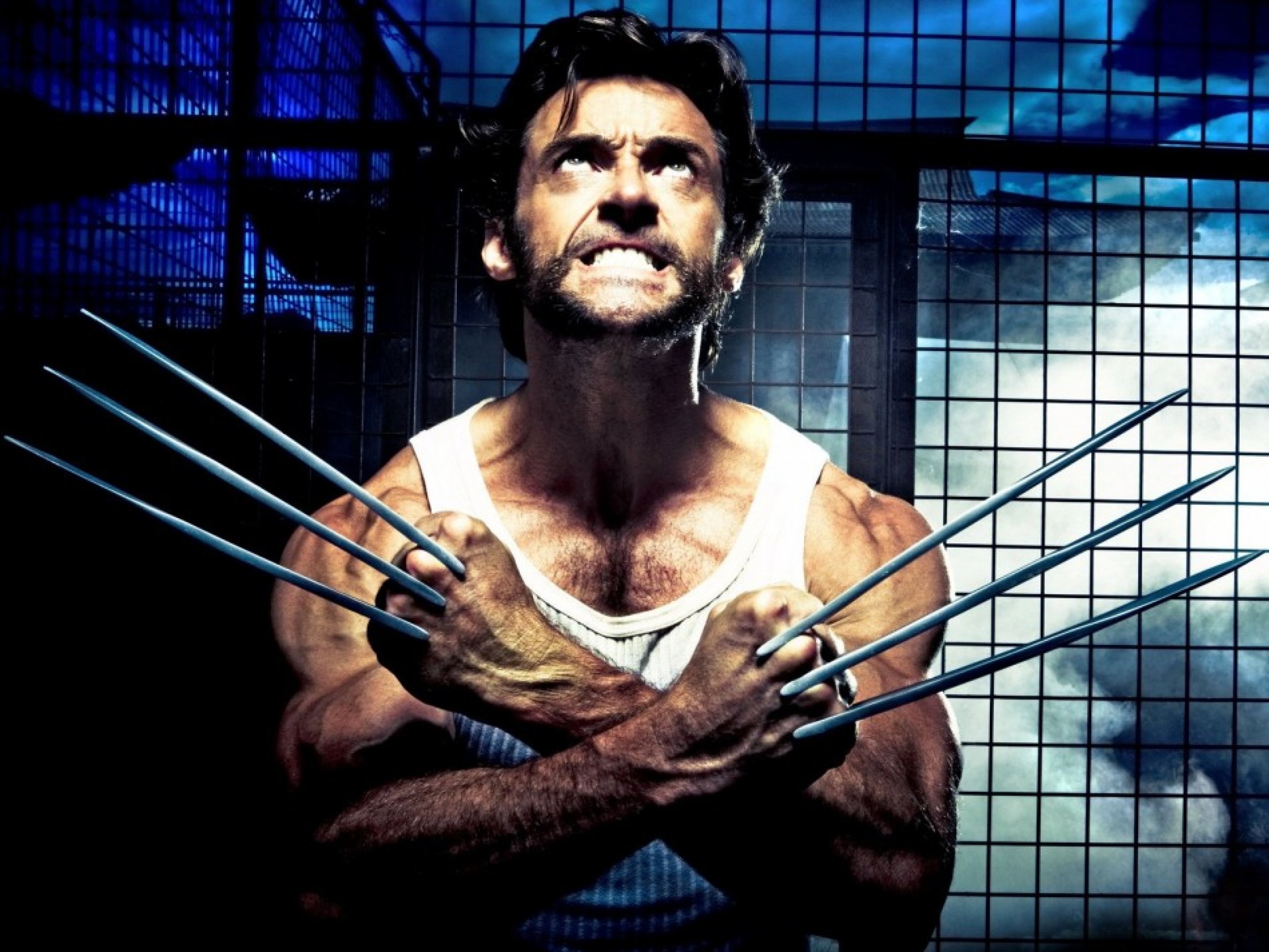 Wolverine, X-Men 22 percent