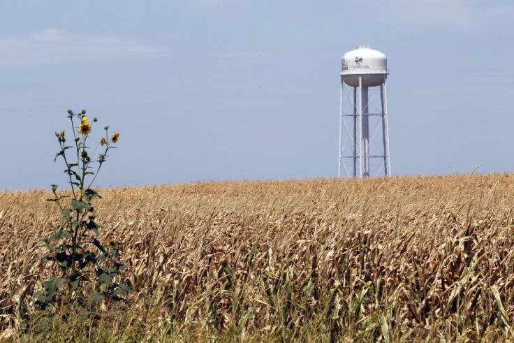A brown and parched corn field shows the effects of a long Texas drought in Farmersville