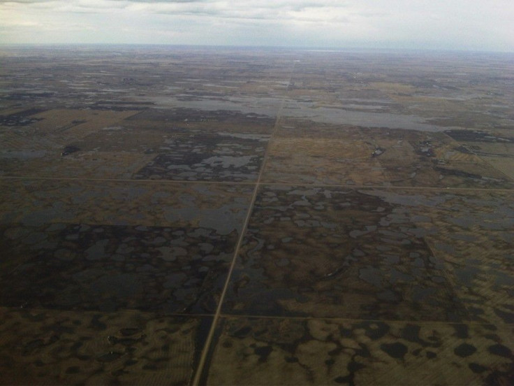 Saturated fields are seen near Saskatoon