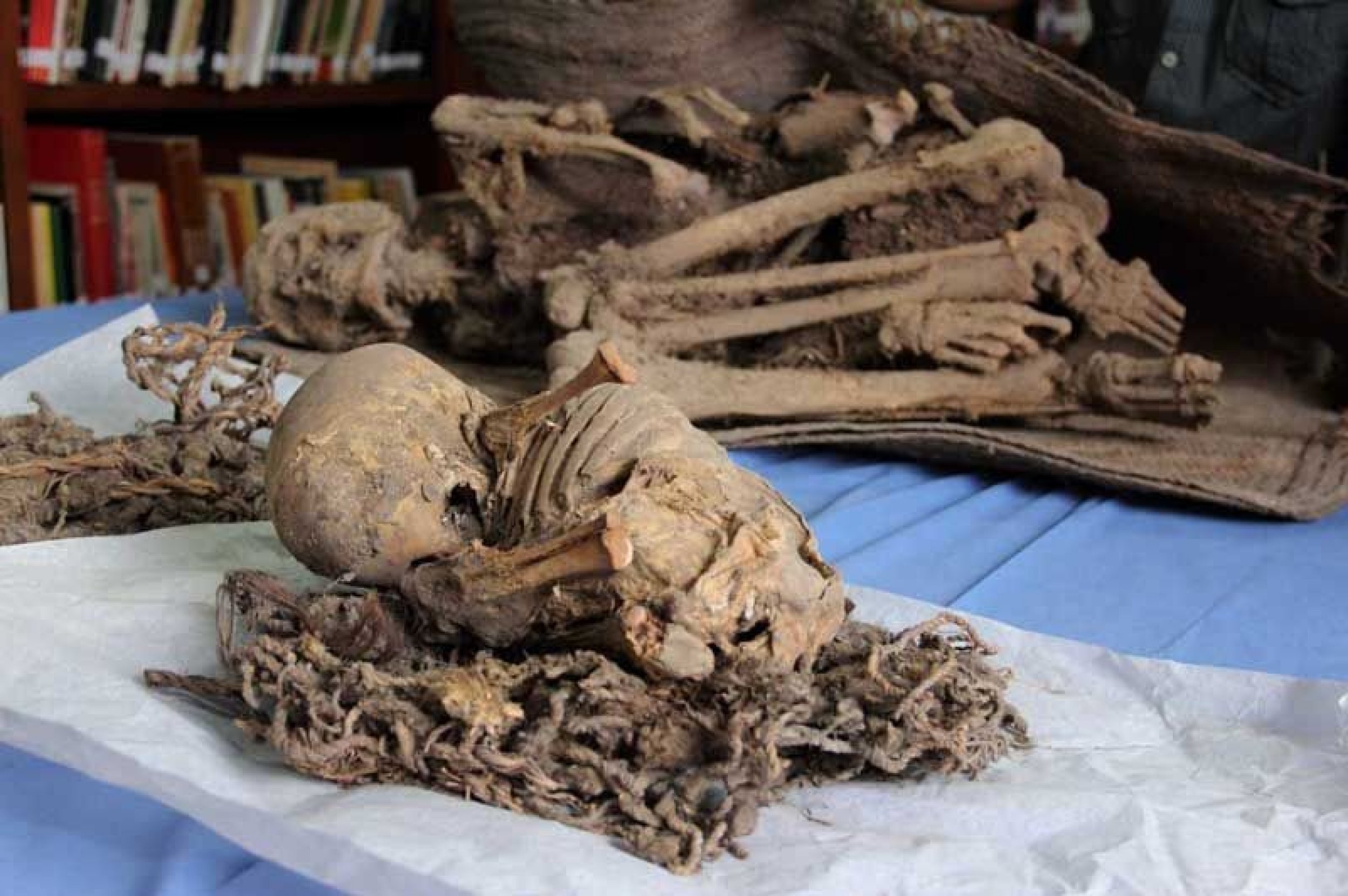 Ancient Natural Mummies Found in a Northern Mexican Cave