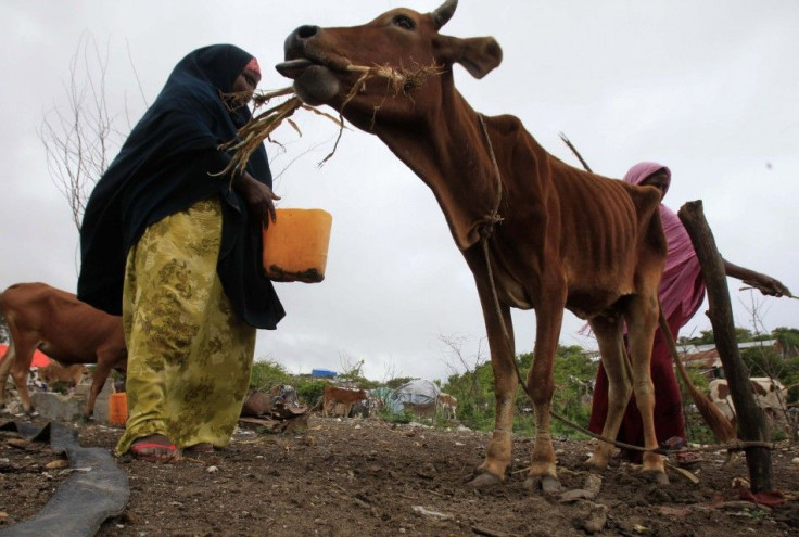 somalia