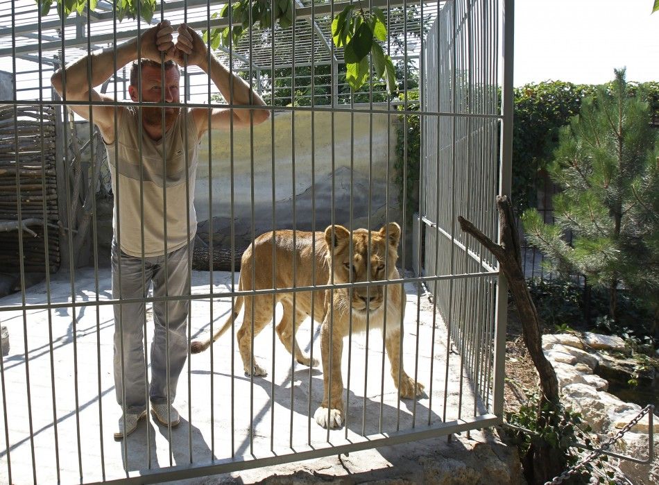 Zoo owner Pylyshenko looks on inside a cage with female African lion Katya at a private zoo situated in his yard in Vasilyevka