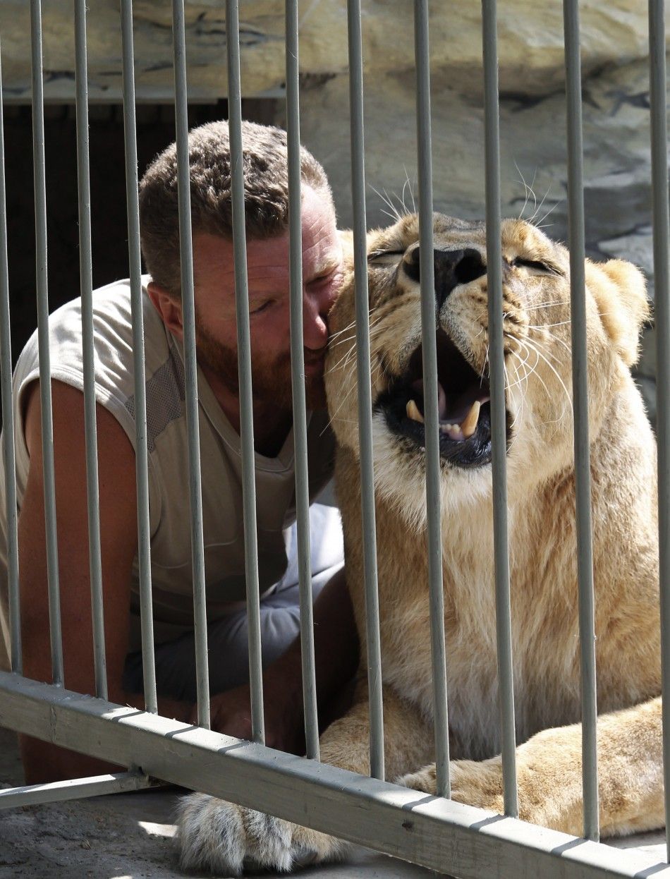 Zoo owner Pylyshenko strokes female African lion Katya inside a cage at a private zoo situated in his yard in Vasilyevka
