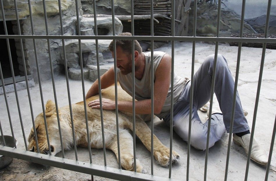 Zoo owner Pylyshenko strokes female African lion Katya inside a cage at a private zoo situated in his yard in Vasilyevka