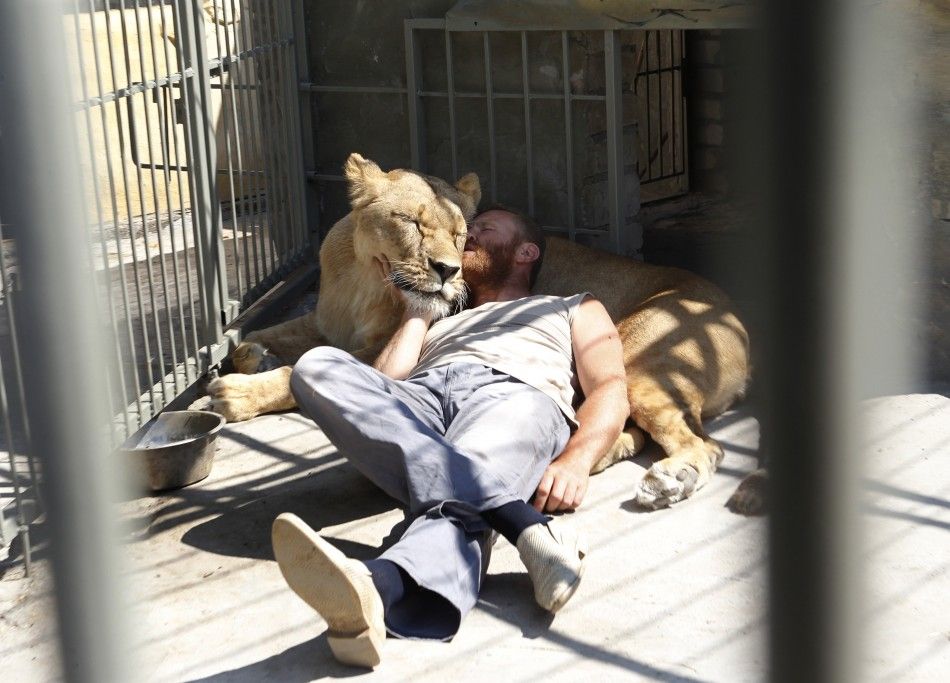 Zoo owner Pylyshenko lies next to female African lion Katya inside a cage at a private zoo situated in his yard in Vasilyevka