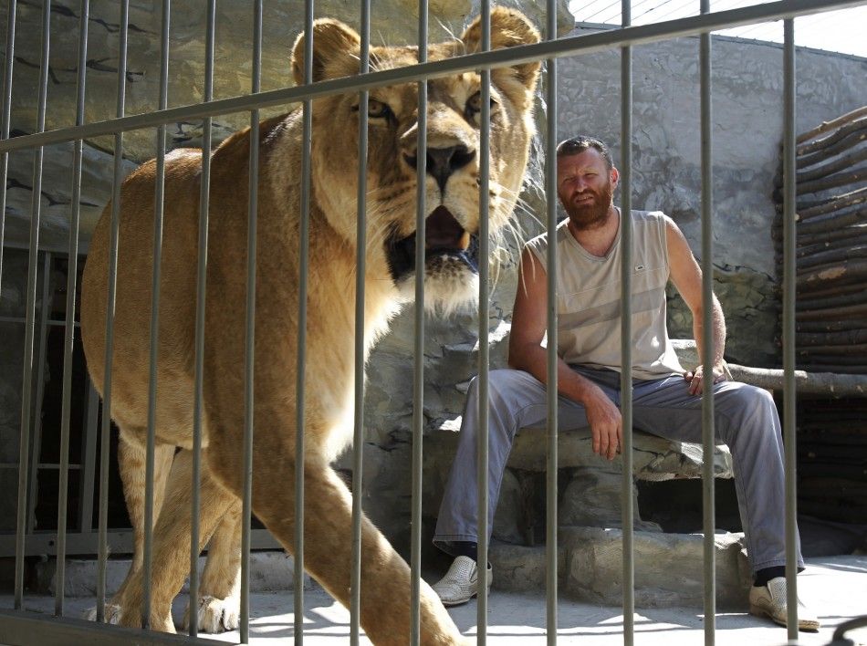 Zoo owner and artist Aleksandr Pylyshenko sits inside a cage with female African lion Katya, at a private zoo situated in his yard in the city of Vasilyevka, southeastern Ukraine August 3, 2011.