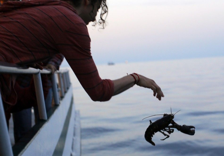 A Buddhist releases a lobster back into the ocean during quotChokhor Duchenquot from a boat in the waters off Gloucester