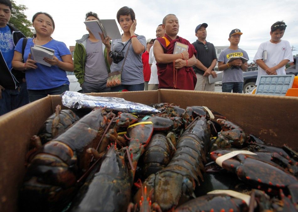Buddhists pray before releasing lobsters back into the ocean during quotChokhor Duchenquot in Gloucester