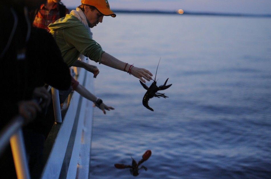 Buddhists release lobsters back into the ocean during quotChokhor Duchenquot from a boat in the waters off Gloucester
