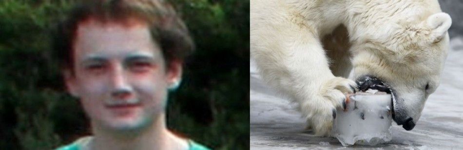 shocking Ordeal 17-year old Killed by Polar Bear in the Arctic.