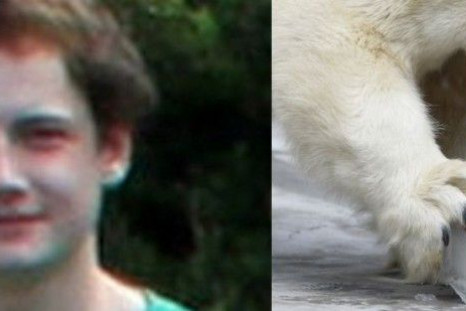 shocking Ordeal: 17-year old Killed by Polar Bear in the Arctic.