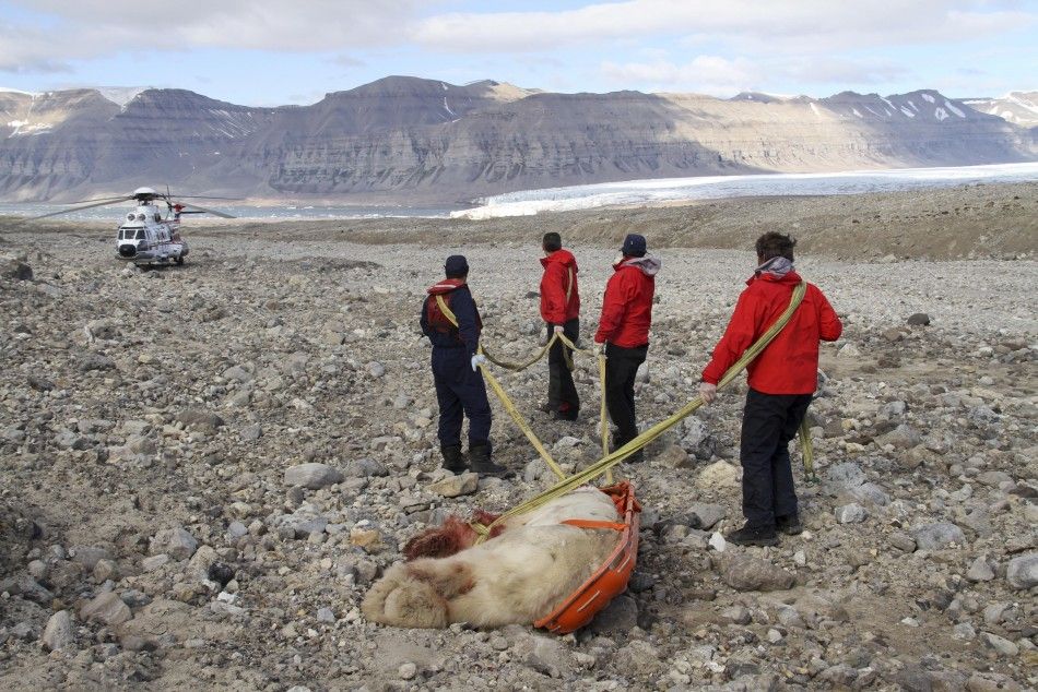 Horrific Ordeal 17-year old Killed by Polar Bear in the Arctic.