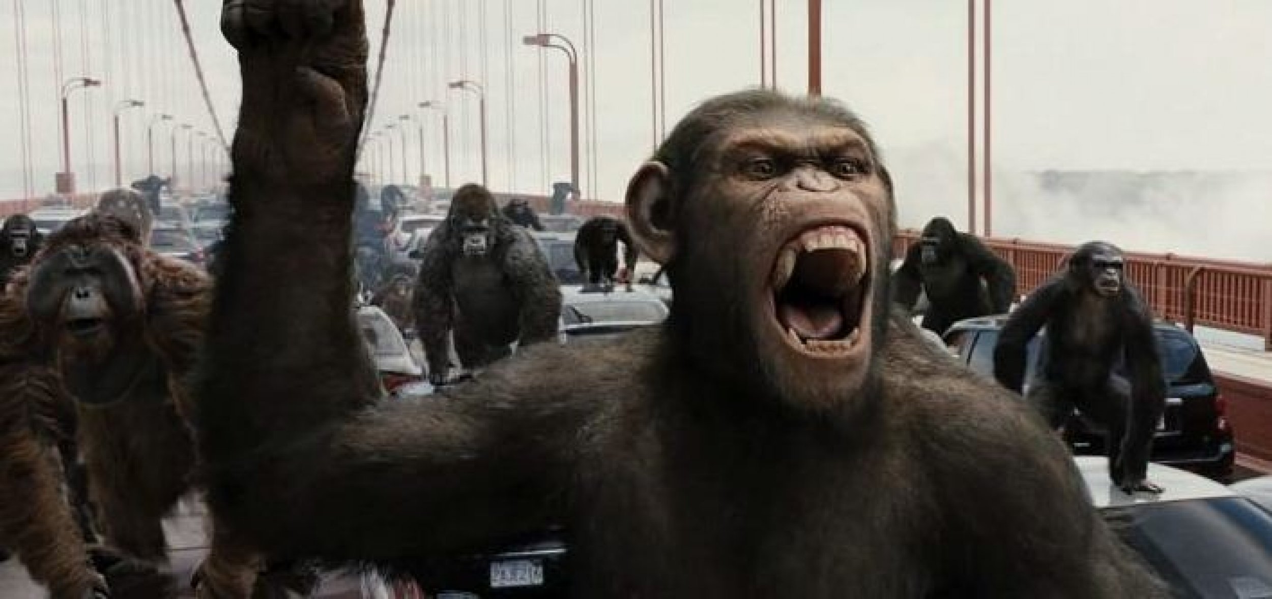 Apes Rule Theaters as 'Rise of the of the Apes' Tops Box Office
