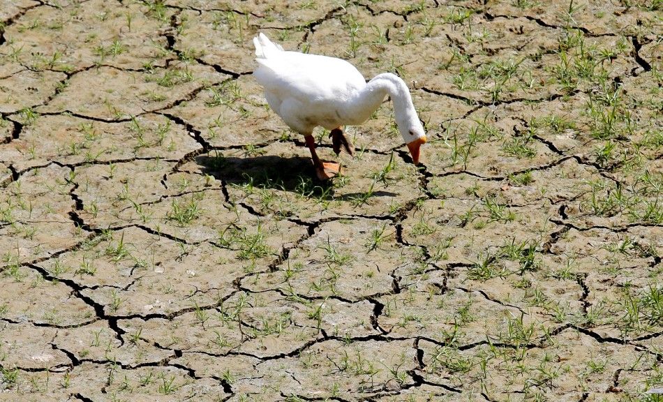Texas Drought Will Harm the Ecosystem for a Long Time