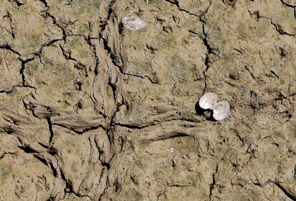 Texas Drought Will Harm the Ecosystem for a  Long Time