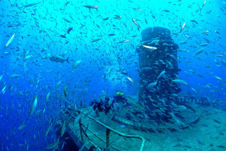 Underwater Photo Exhibition on Artificial ‘Sunken Ship’ Reef in Florida Woos Divers