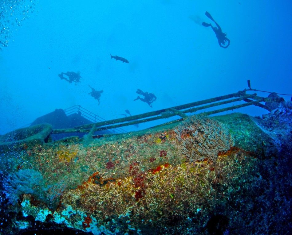 Underwater Photo Exhibition on Artificial Sunken Ship Reef in Florida Woos Divers